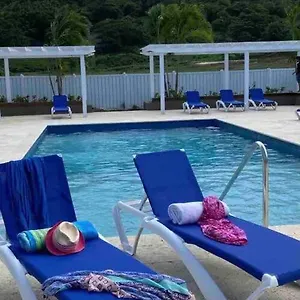  Villa Natty's Cozy House In Hanover Jamaica